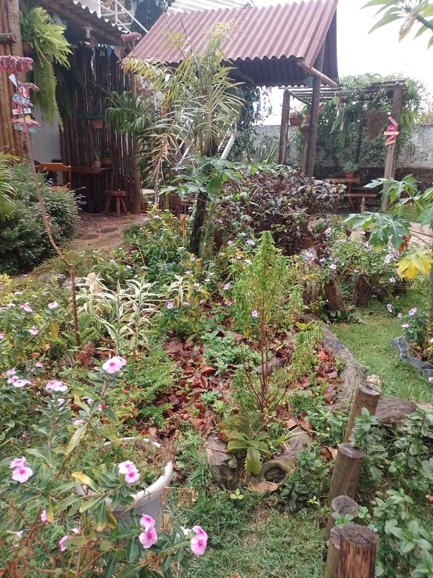 Casa de hóspedes Ostara Alto Paraíso de Goiás